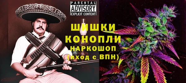 МДПВ Волоколамск